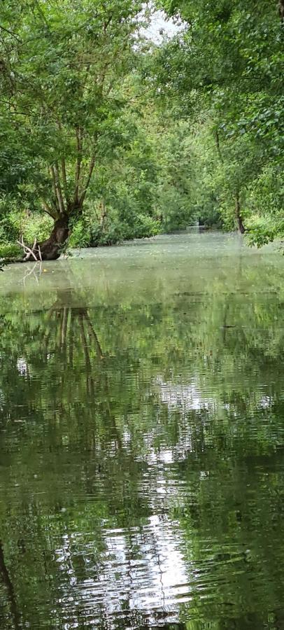 L'Enclos Bleu, Gite - Marais Poitevin Avec Piscine Chauffee Chaille-Les-Marais Dış mekan fotoğraf